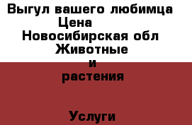 Выгул вашего любимца › Цена ­ 100 - Новосибирская обл. Животные и растения » Услуги   . Новосибирская обл.